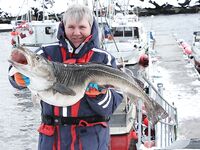 Сёрёйя — север Норвегии, рыбалка во фьордах и в море