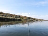 Украина, Николаев: осенний окунь и уха