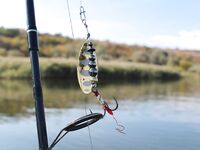 Украина, Николаев: осенний окунь и уха