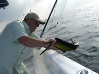 Фуджейра, декабрь 2011: добавил снимки, море ровное