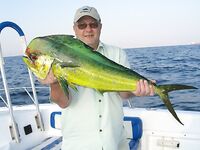 Фуджейра, декабрь 2011: добавил снимки, море ровное