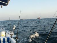 Фуджейра, декабрь 2011: добавил снимки, море ровное