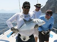 Фуджейра: скромная фотоподборка после поездки
