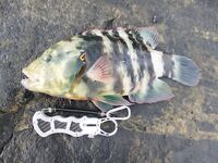 Мусанддам: обещанные фото без комментариев