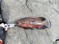 Мусанддам: обещанные фото без комментариев