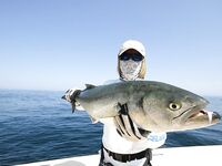 Южный Оман, Халаният: морская рыбалка, кастинг и вертикальный джиг