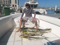 Фуджейра 12 ноября: туна, махи и парус на троллинге