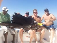 Фуджейра 12 ноября: туна, махи и парус на троллинге