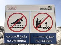 Дубай и Фуджейра: городская морская рыбалка и тихий уголок