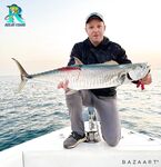 Кингфиш радует в дубайских водах, короткая пометка