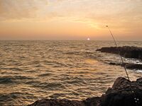 ГОА, ночной заход и Rapala Deep Tail Dancer — 7.6 кг, потом троллинг