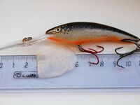 ГОА, ночной заход и Rapala Deep Tail Dancer — 7.6 кг, потом троллинг