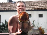 ГОА, морская рыбалка с лодки и ночью с камней