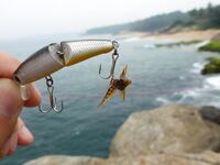 Керала, пляж Човвара и местные способы ловли