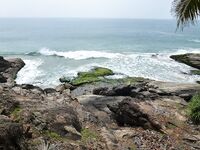 Керала, пляж Човвара и местные способы ловли