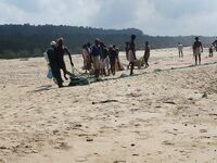 Керала, пляж Човвара и местные способы ловли