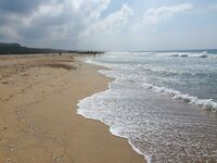 Керала, пляж Човвара и местные способы ловли