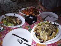 Третий сезон в этих краях и январские заметки