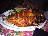 Третий сезон в этих краях и январские заметки