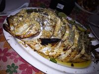 Третий сезон в этих краях и январские заметки