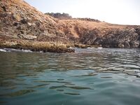 Третий сезон в этих краях и январские заметки