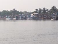 Силиконовый червь, кальмар и креветка по месту