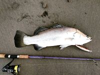 Лодочная морская рыбалка у островов, троллинг и качка