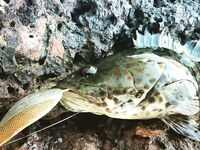 Лодочная морская рыбалка у островов, троллинг и качка