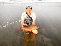 Северный ГОА: морская рыбалка месяц подряд, старт и провал