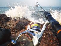 Северный ГОА: морская рыбалка месяц подряд, старт и провал