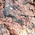 Северный ГОА: морская рыбалка месяц подряд, старт и провал