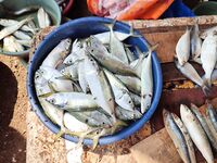 Троллинг за 3000 рупий — профсоюзная ставка и шансы