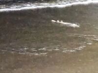 Устье реки Сал, вечер: тяжёлый комплект и луч света в прибой