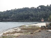 Устье Сала и штиль: кэтфиш на стик и случай со змеёй