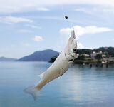 Греция, дамба у аэропорта: хлеб, улитки и Orka 1.5"