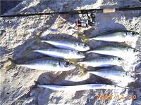 Сводка обновлений по Каталунии — добавлены прошлые выезды