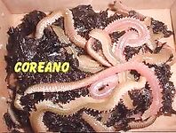 Кефаль в Испании и «хлебный ёж»: как её тут ловят