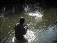 Новые отчёты: морская рыбалка и река в одном сборнике