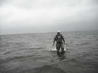 Плотины и «рыбьи убежища»: где можно ловить и где нельзя