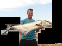 Ла Пинеда, Салоу — утро и вечер по морским хищникам