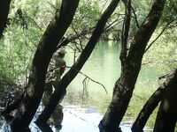 Пара статей о рыбалке — море и река