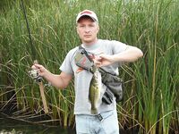 Микро-спиннербейты по радужке: у меня не сработали