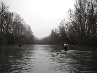 Высокая вода и радужка: Сергей с Михаилом всё же поймали