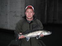 Мекиненса и окрест, заметки: карп, сом и судак