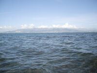 Дельта Эбро 01.05 — лаврак на Gunnish95 и дальше тишина