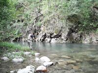 Двухдневная поездка за форелью: краткая сводка без координат