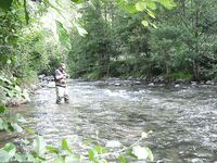 Двухдневная поездка за форелью: краткая сводка без координат