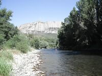 Август, ранний выезд за форелью — радужка, голавль и сход