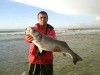 После дождей - морская рыбалка по лавраку на сливах