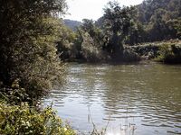 Форелевые рыбалки: две поездки на одну речку